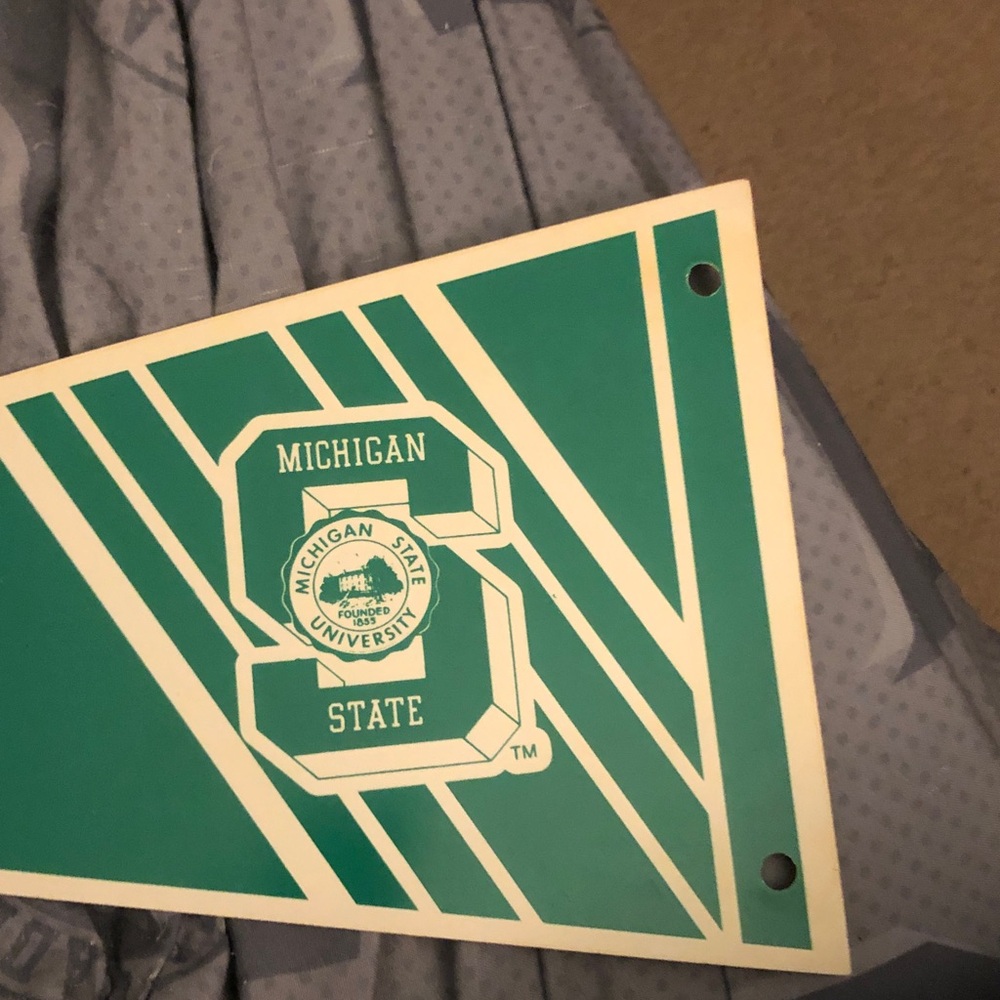 Gray Michigan State banner - Picture 4 of 4